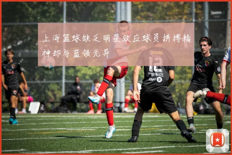 上海篮球缺乏明星效应球员拼搏精神却与蓝领无异